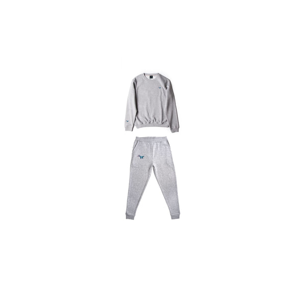 Color Mix Skunk Patch : Grey Jogger suit